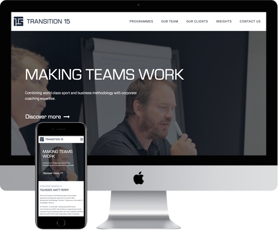 Matt Perry - Transition 15 - Website